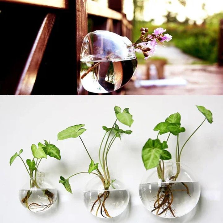 Elegante Glas-Wandvase – Minimalistischer Pflanzenhalter
