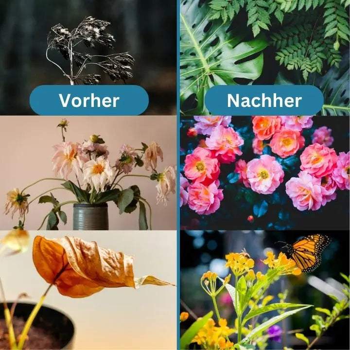 2+1 Gratis | Universal organischer Langzeitdünger Tabletten