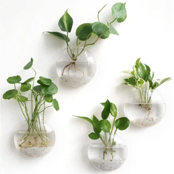 Elegante Glas-Wandvase – Minimalistischer Pflanzenhalter