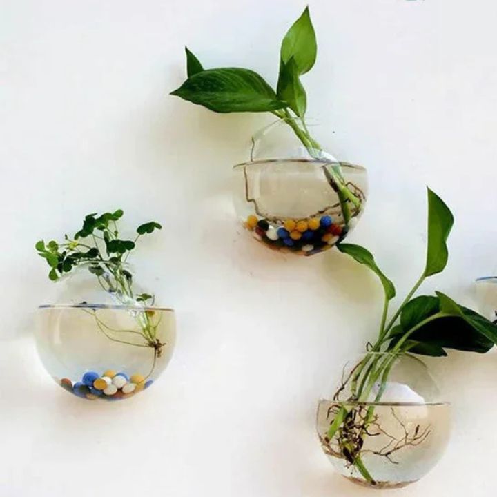 Elegante Glas-Wandvase – Minimalistischer Pflanzenhalter