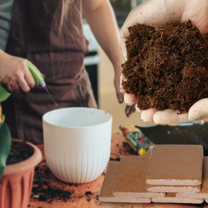 5 Stück Kokosfaser Pflanzpads – umweltfreundliche Blöcke für Garten