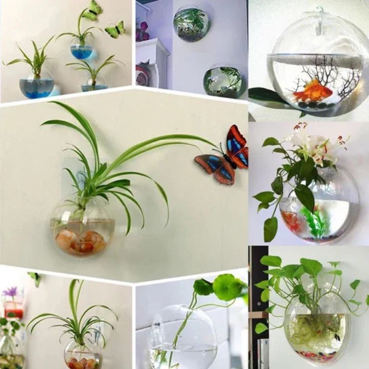 1+1 Gratis | Elegante Glas-Wandvase – Minimalistischer Pflanzenhalter
