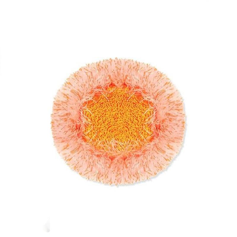 360° Drehbarer Verstellbarer Wischmopp – Mühelose Reinigung für jede Ecke