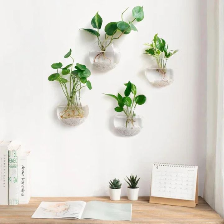 Elegante Glas-Wandvase – Minimalistischer Pflanzenhalter