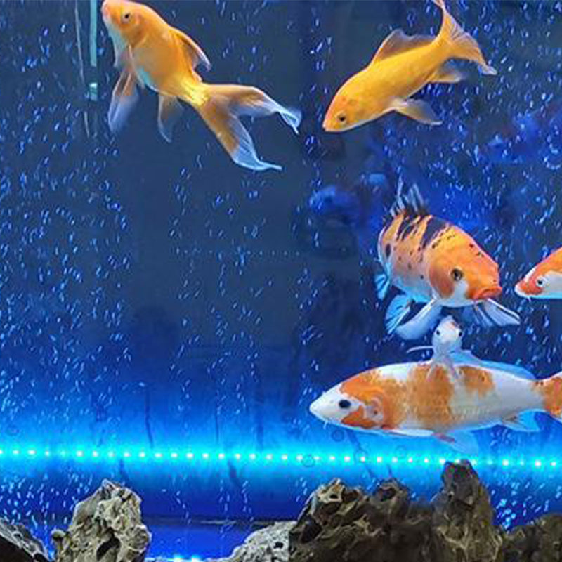 LED-Aquarium-Luftsprudler mit Farbwechselbeleuchtung