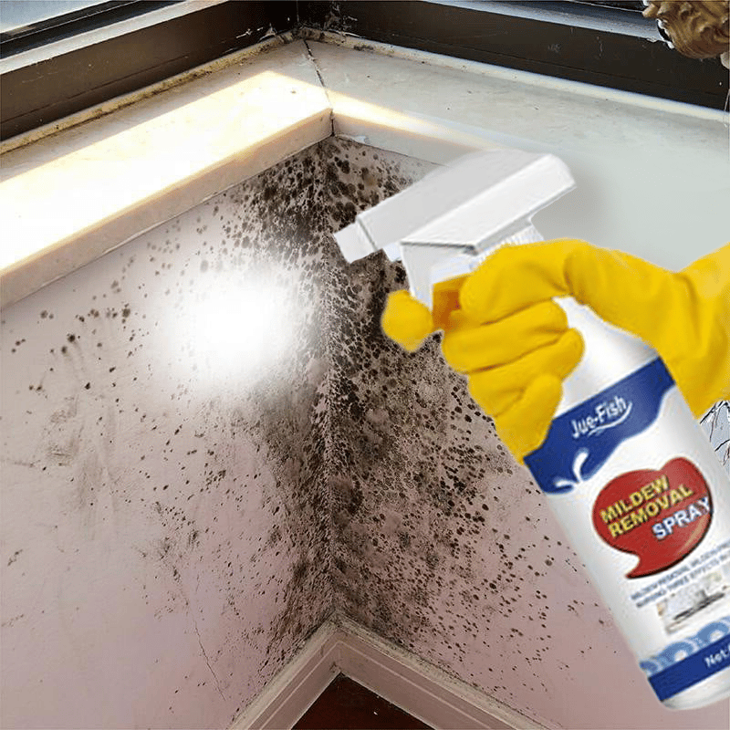 1+1 GRATIS | Hocheffektives Schimmelentfernungsspray – Verhindert Schimmelneubildung