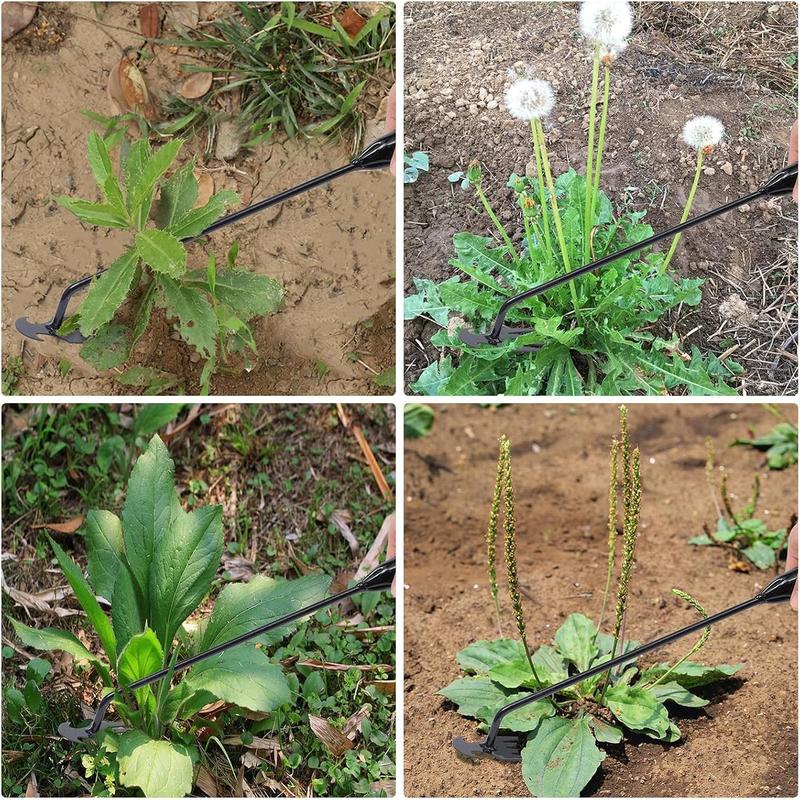 Unkrautentfernungswerkzeug mit 4 Zinken – Gartenjäte-Werkzeug