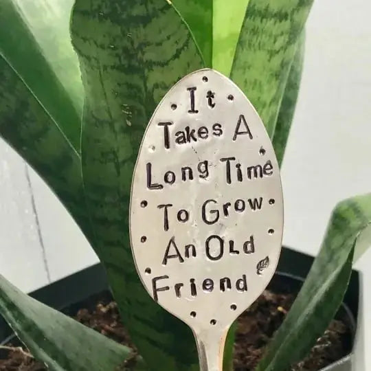 1+1 GRATIS | Langlebiger Gartenmarker-Freundschaftsgeschenk für Pflanzenliebhaber