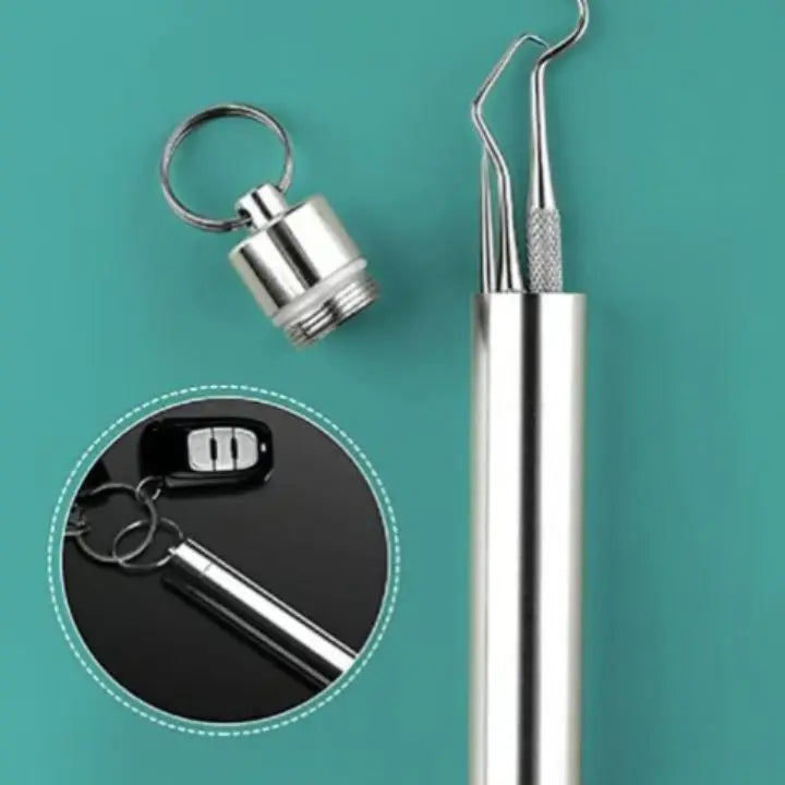 1+1 Gratis | Zahnstocher Set aus Edelstahl (7 Stück)