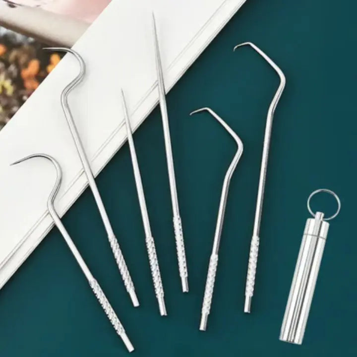 1+1 Gratis | Zahnstocher Set aus Edelstahl (7 Stück)