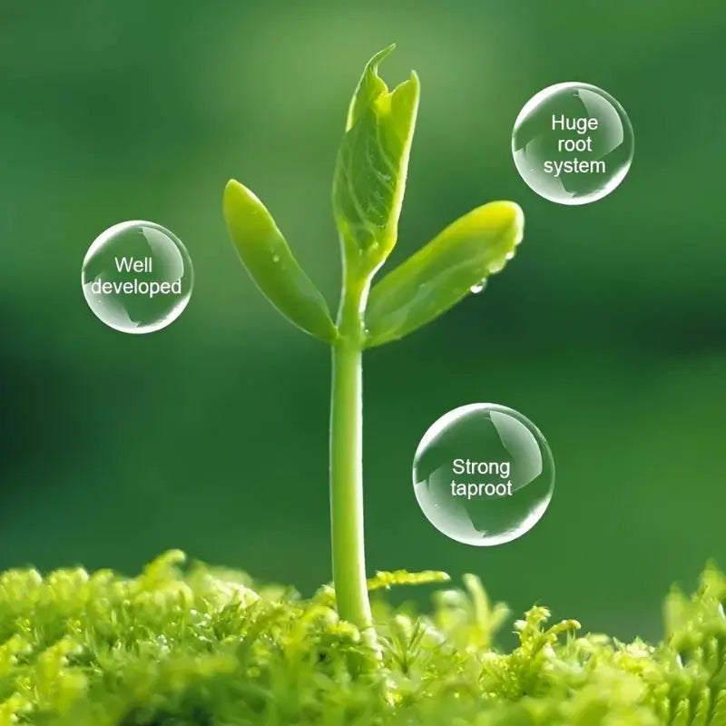 1+2 Gratis | Flüssige Lösung zur Aktivierung von Pflanzen und Blumen