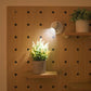 1+1 Gratis | Kabelloses LED-Spotlight – Fernbedienung für Akzentbeleuchtung