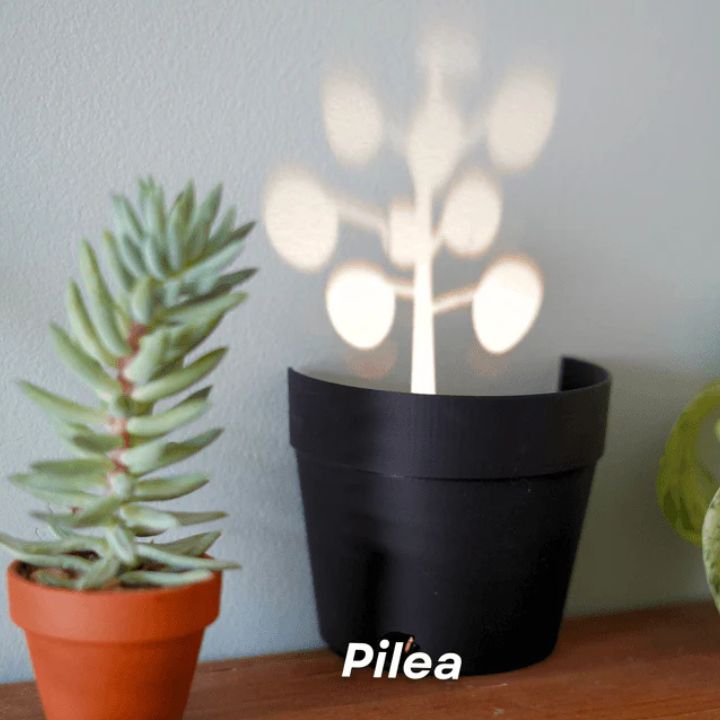 Pflanzentopf mit 7 Lichtprojektionen für Wanddeko