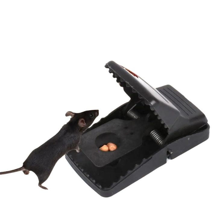 Starke Rattenfalle – Hochsensible Schnappfalle