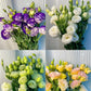200 Samen Eustoma-Dornlose Rosensamen – Schnelles Keimen & Lange Blütezeit