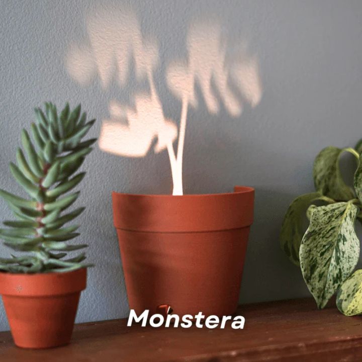 Pflanzentopf mit 7 Lichtprojektionen für Wanddeko