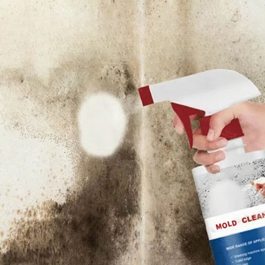 Schimmelentferner-Schaum Spray