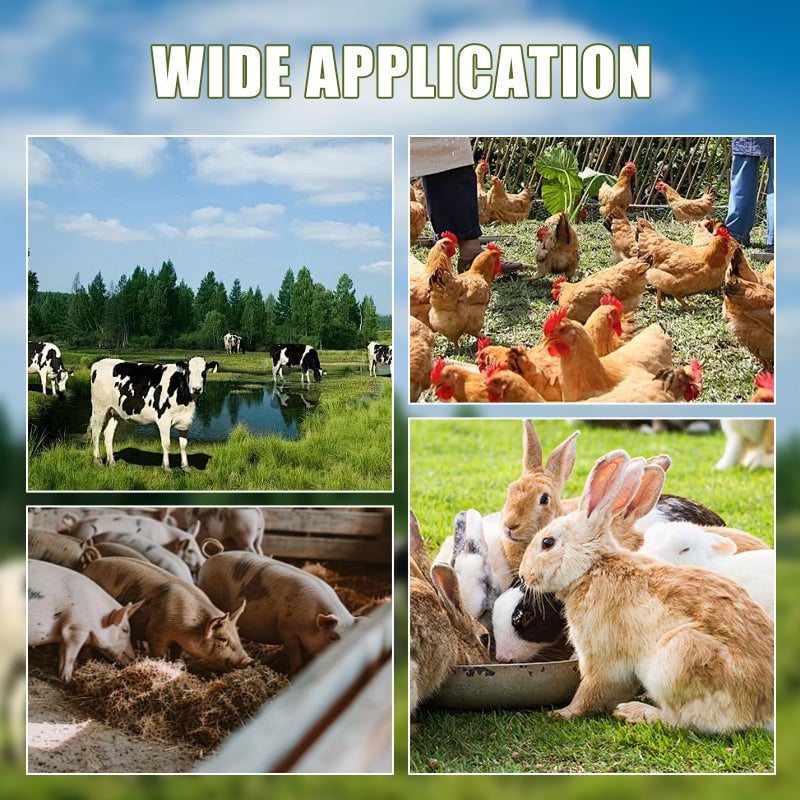 Langlebige Rasenshredder-Klinge für den landwirtschaftlichen Hausgebrauch (25–26 cm Durchmesser)