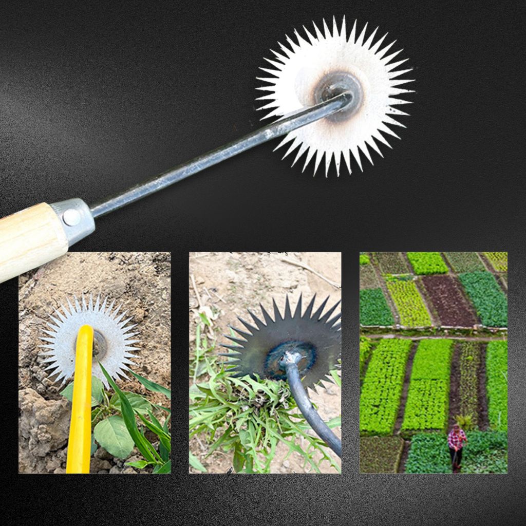 Langlebige Sonnenblumenhacke mit Holzgriff – Müheloses Jäten