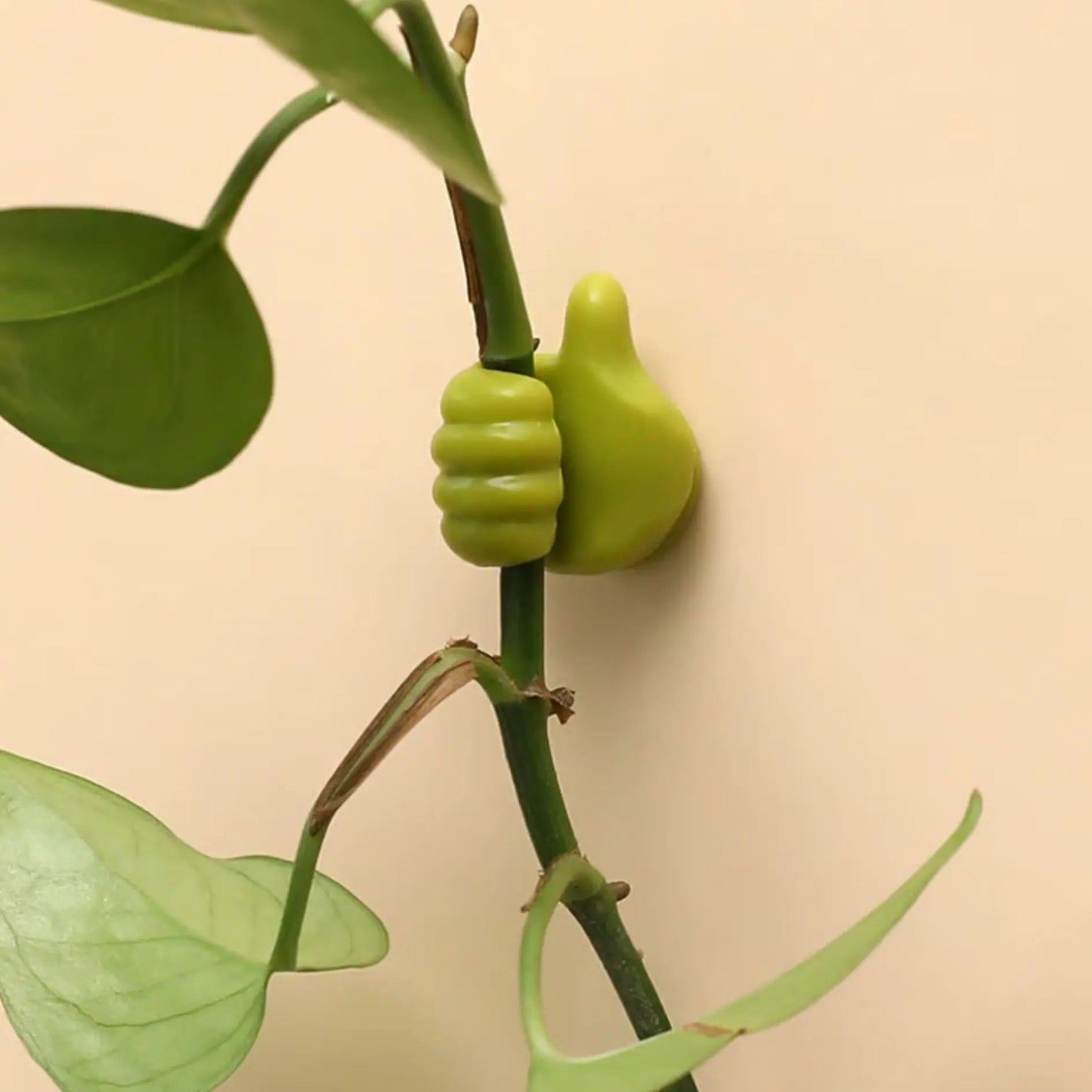 5+5 Gratis | Daumen Hoch Form Wandhaken Organizer