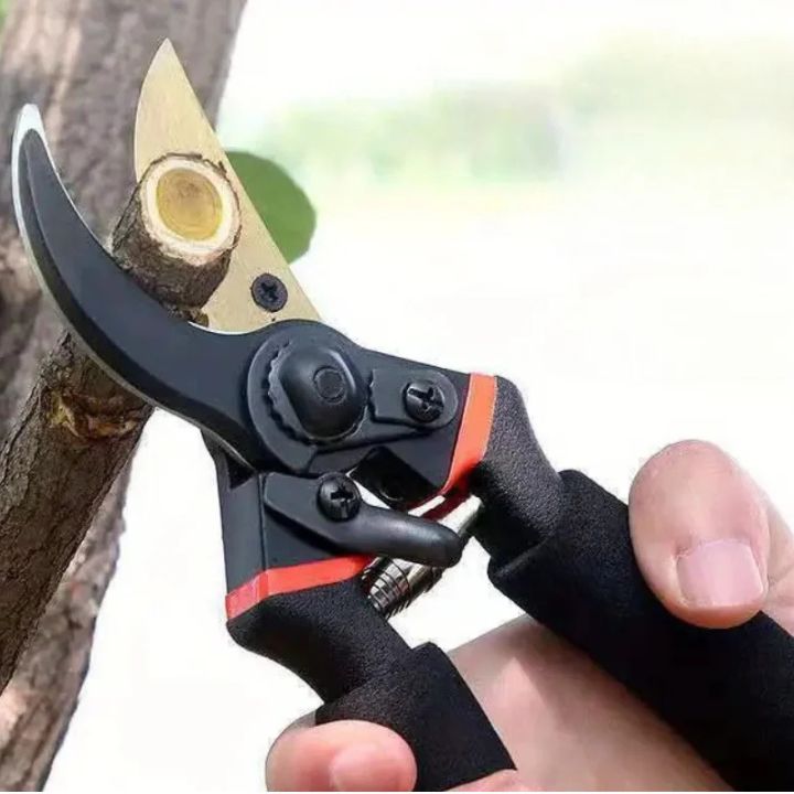 Profi-Gartenschere – Ergonomisch, scharf & vielseitig