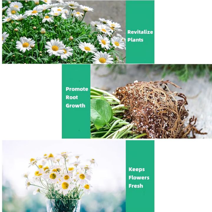 1+1 Gratis |  Pflanzenwachstums-Verstärker – Organischer Wurzelaktivator