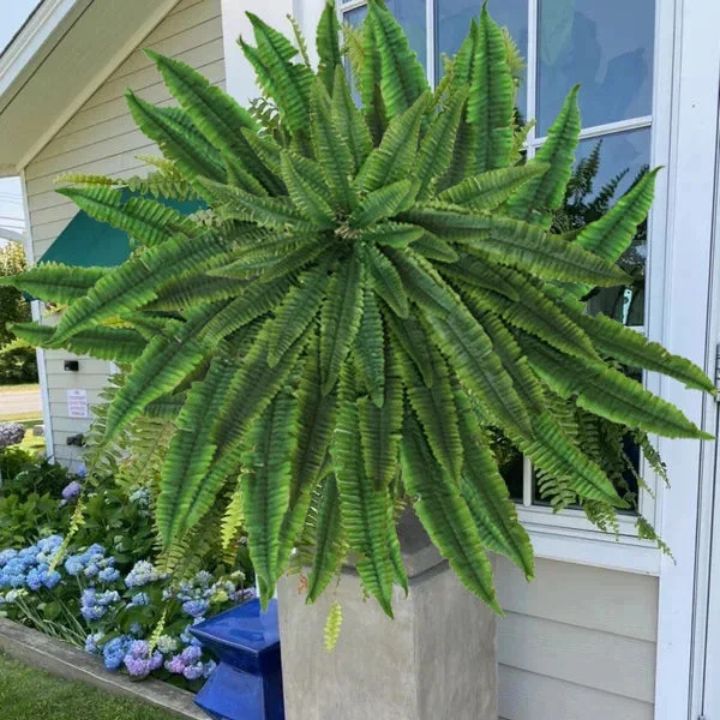 Künstlicher Boston-Farn Bündel - UV-beständig & pflegeleicht (18 Zweige)