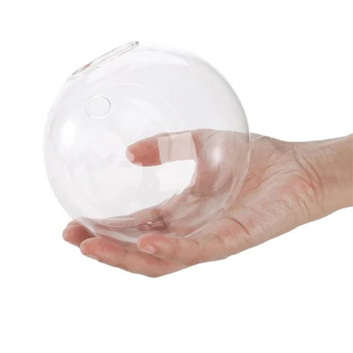 Elegante Glas-Wandvase – Minimalistischer Pflanzenhalter