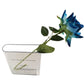 Acryl Buchvase – Modernes Design mit unsichtbarer Buchoptik