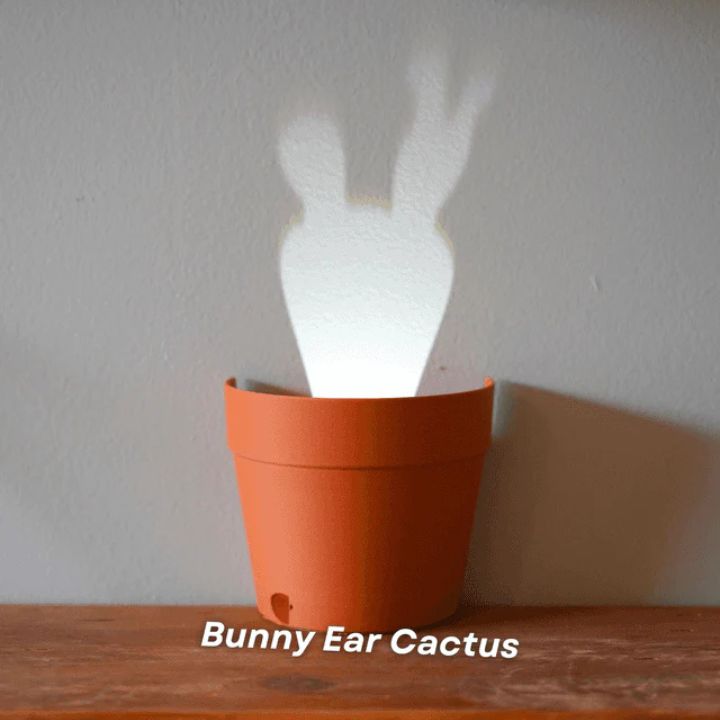 Pflanzentopf mit 7 Lichtprojektionen für Wanddeko