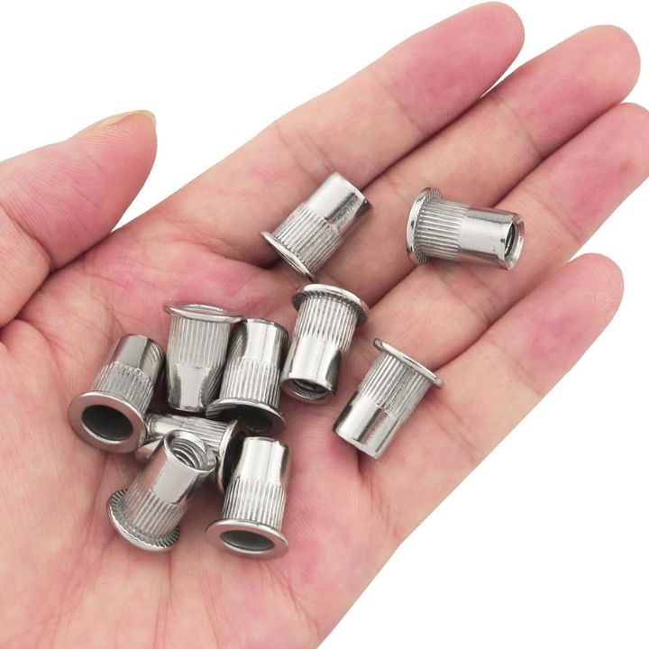 Hochwertiges Nietmuttern-Set mit Flachkopf (100 Stück)