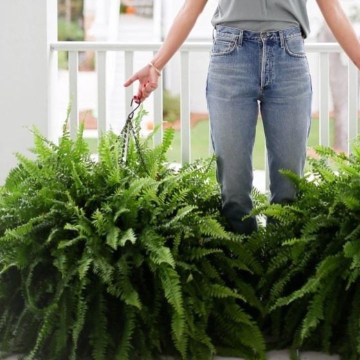 Künstlicher Boston-Farn Bündel - UV-beständig & pflegeleicht (18 Zweige)