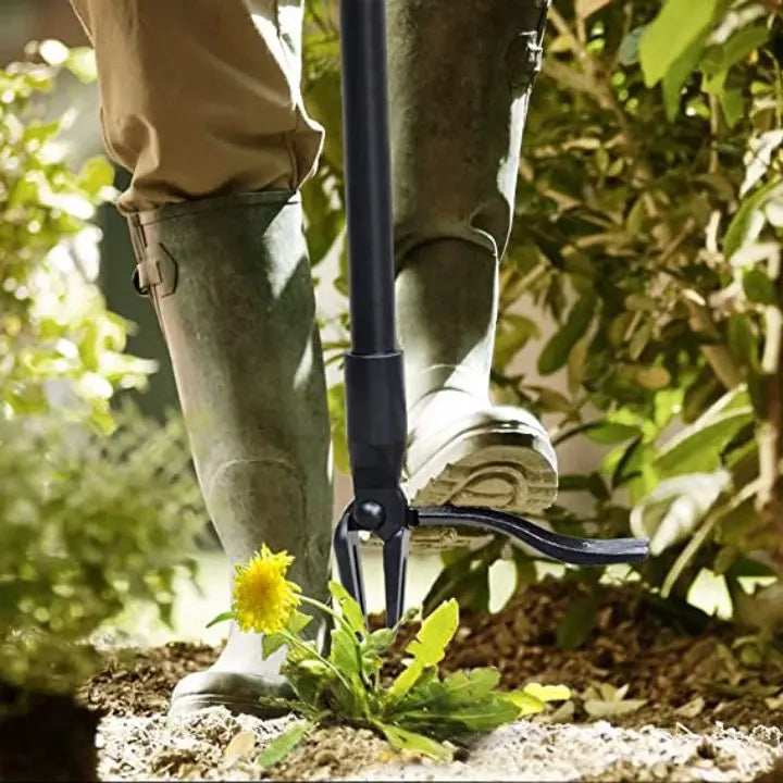 Abnehmbares Unkrautentfernungswerkzeug