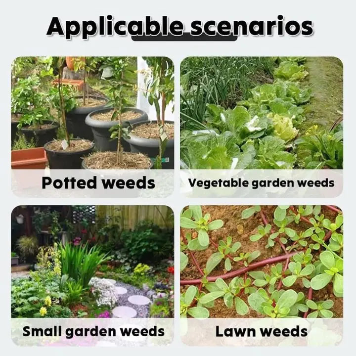 Abnehmbares Unkrautentfernungswerkzeug