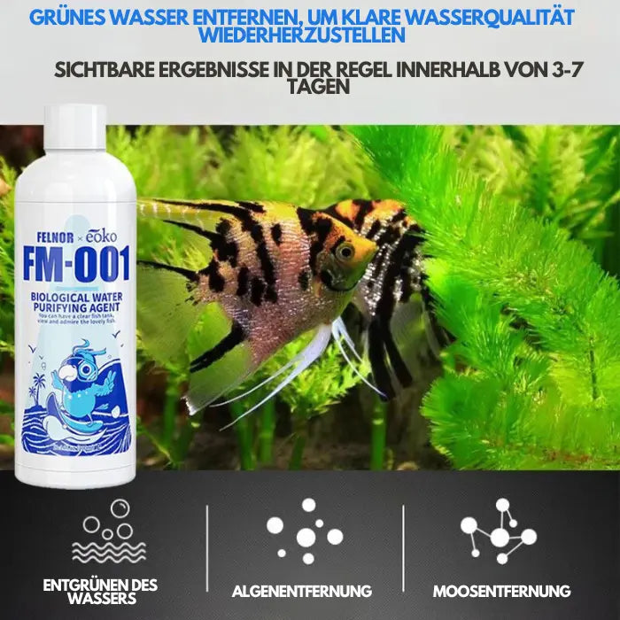 Aquarium-Wasserreiniger-Lösung