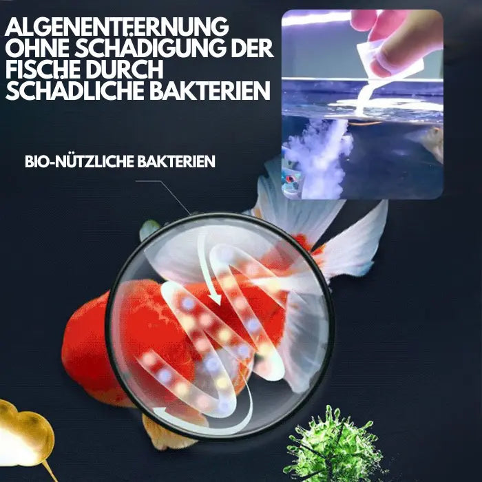 Aquarium-Wasserreiniger-Lösung