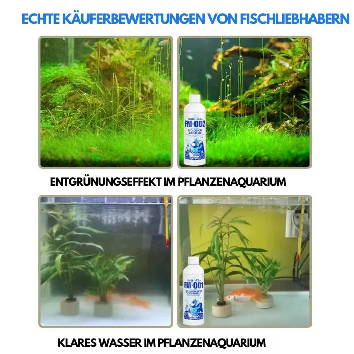 Aquarium-Wasserreiniger-Lösung