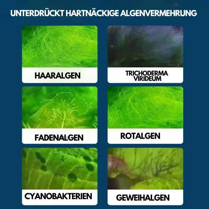 Aquarium-Wasserreiniger-Lösung