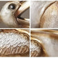 DeClutterBeak™ | Organisiere Gegenstände mit Stil!