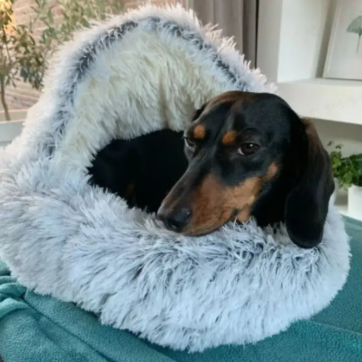 Gemütliche Haustierhöhle – Premium Bett für Komfort & Sicherheit