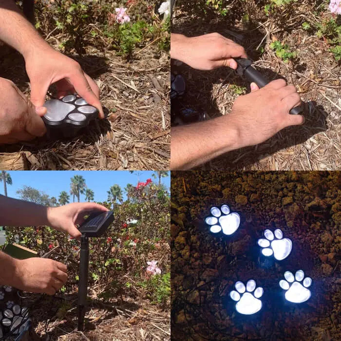 PawLights™ Solarbetriebene Pfotenlichter