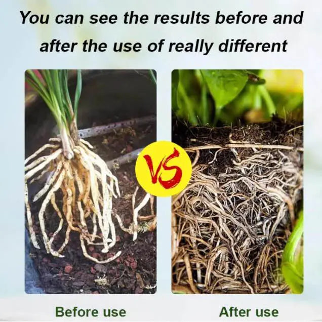 Starkes Bewurzelungspulver für gesunde Pflanzenwachstums