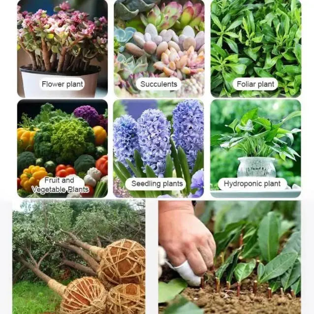 Starkes Bewurzelungspulver für gesunde Pflanzenwachstums