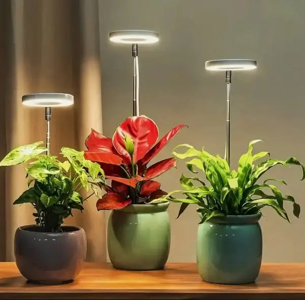 Verstellbare LED-Pflanzenlampe – Optimales Licht für gesundes Wachstum