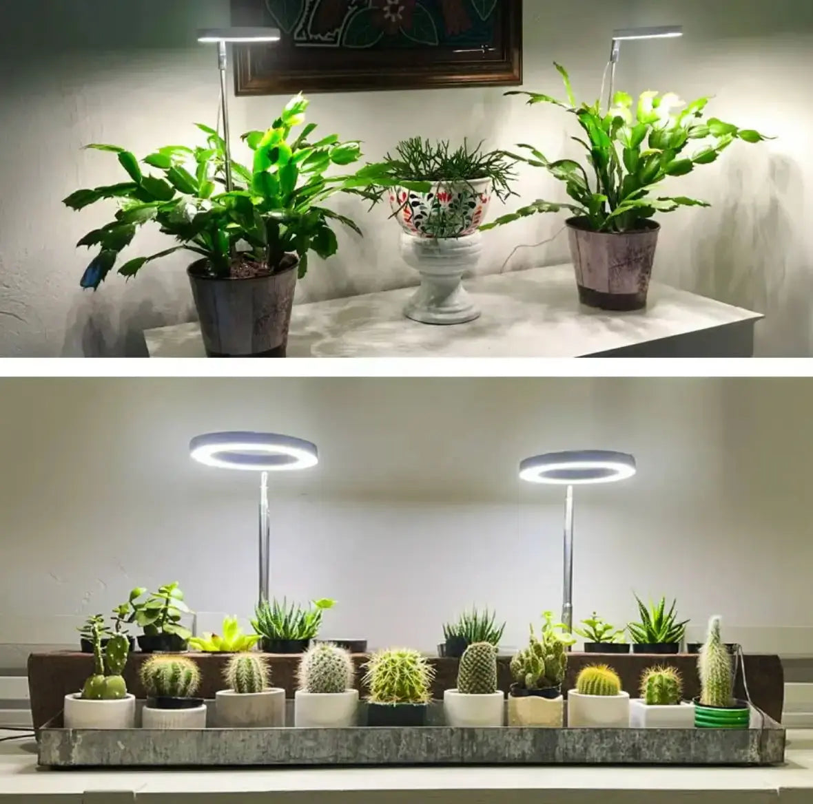 Verstellbare LED-Pflanzenlampe – Optimales Licht für gesundes Wachstum