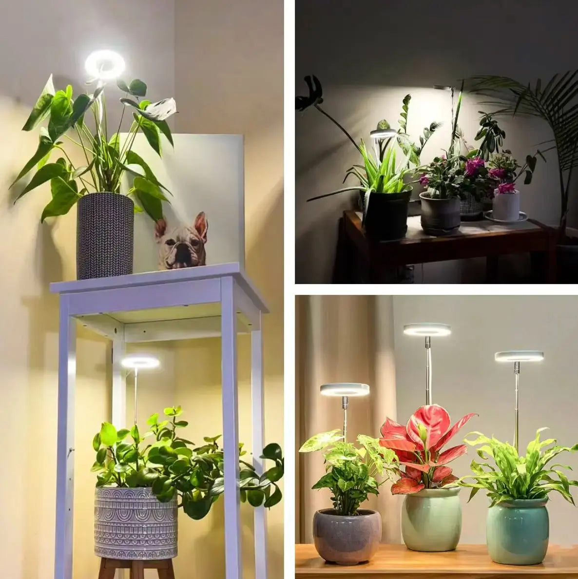 Verstellbare LED-Pflanzenlampe – Optimales Licht für gesundes Wachstum