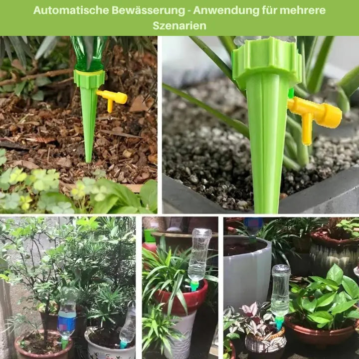 Wasserflaschen-Bewässerungssystem | 12 Stück