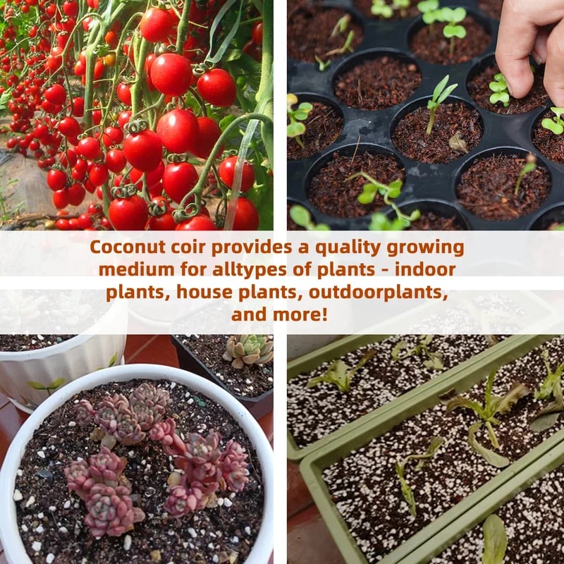 2er-Set Kokoserde Briketts für Pflanzen – organisches Anzuchtsubstrat mit hoher Wasserspeicherung!