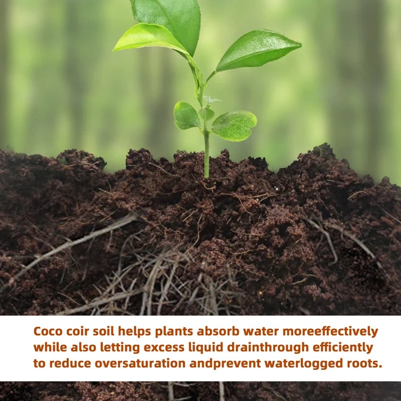 2er-Set Kokoserde Briketts für Pflanzen – organisches Anzuchtsubstrat mit hoher Wasserspeicherung!