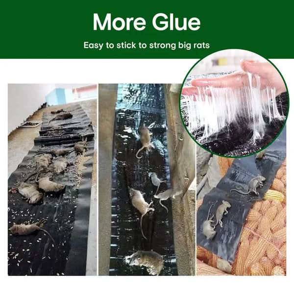 1+1 Gratis | Extra Starke Ratten-Stickyfalle